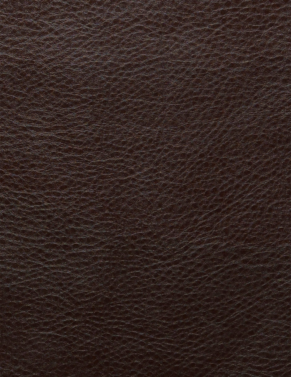 Reclinable Distinción de vinipiel