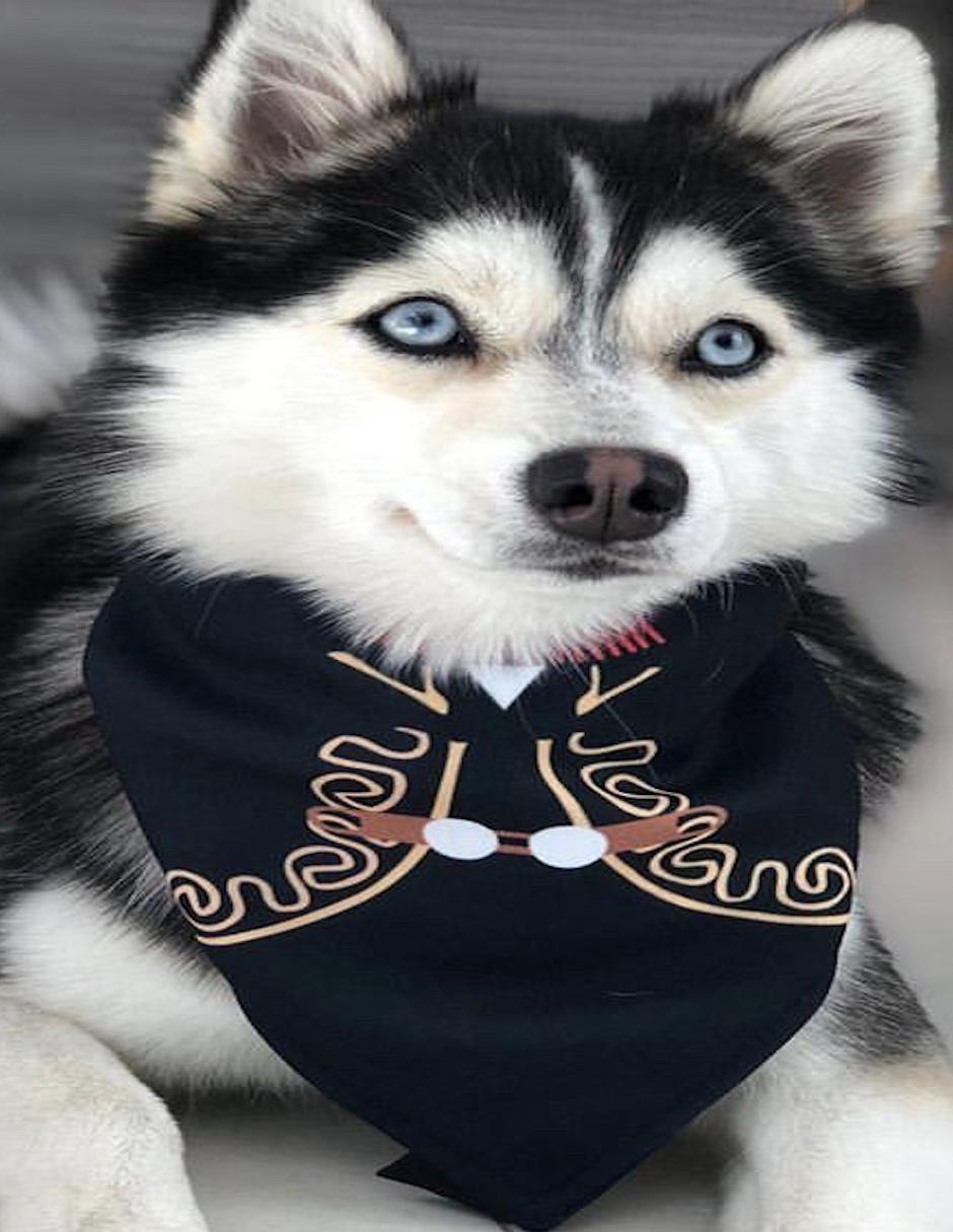Collar 3