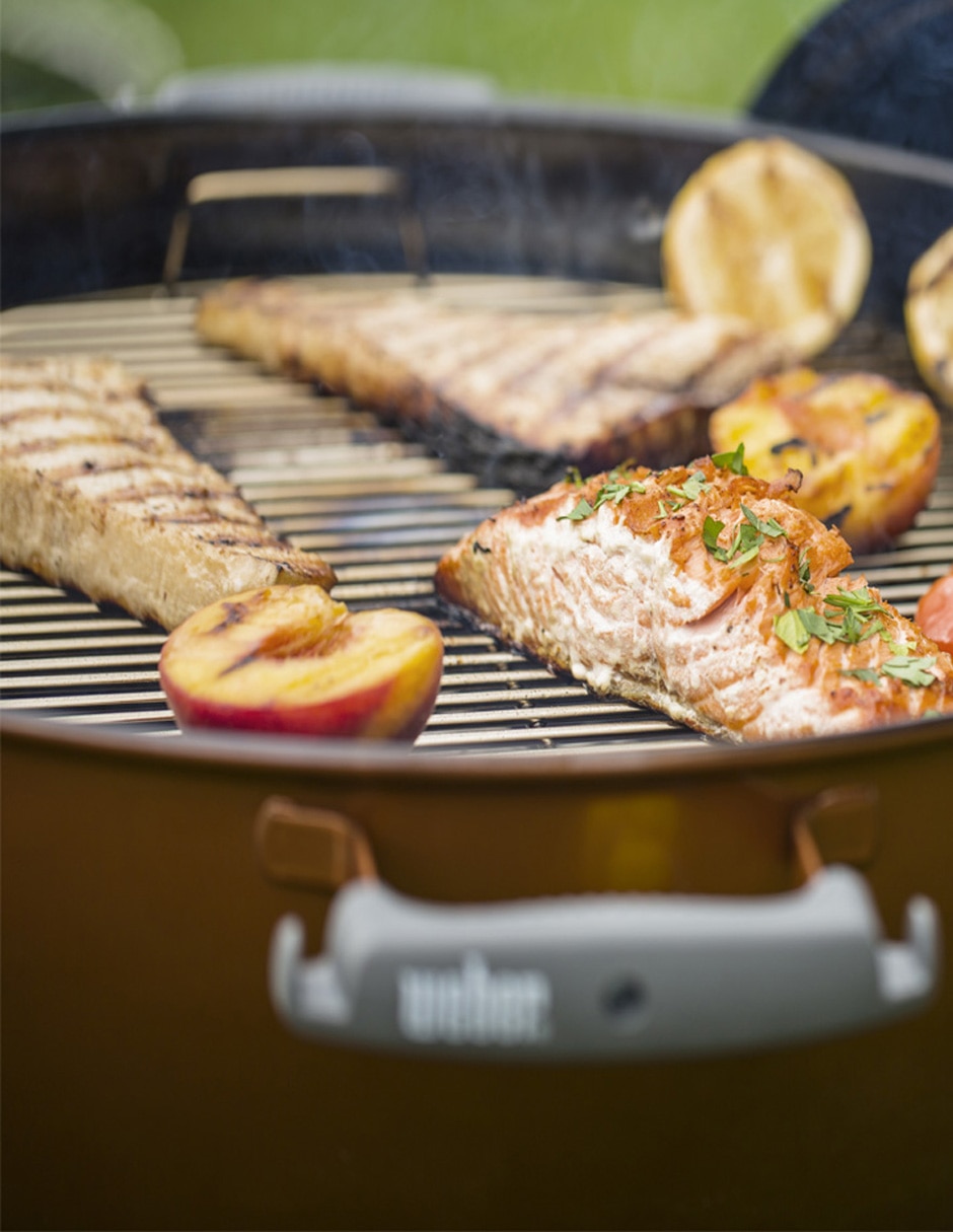 Asador de carbón 6