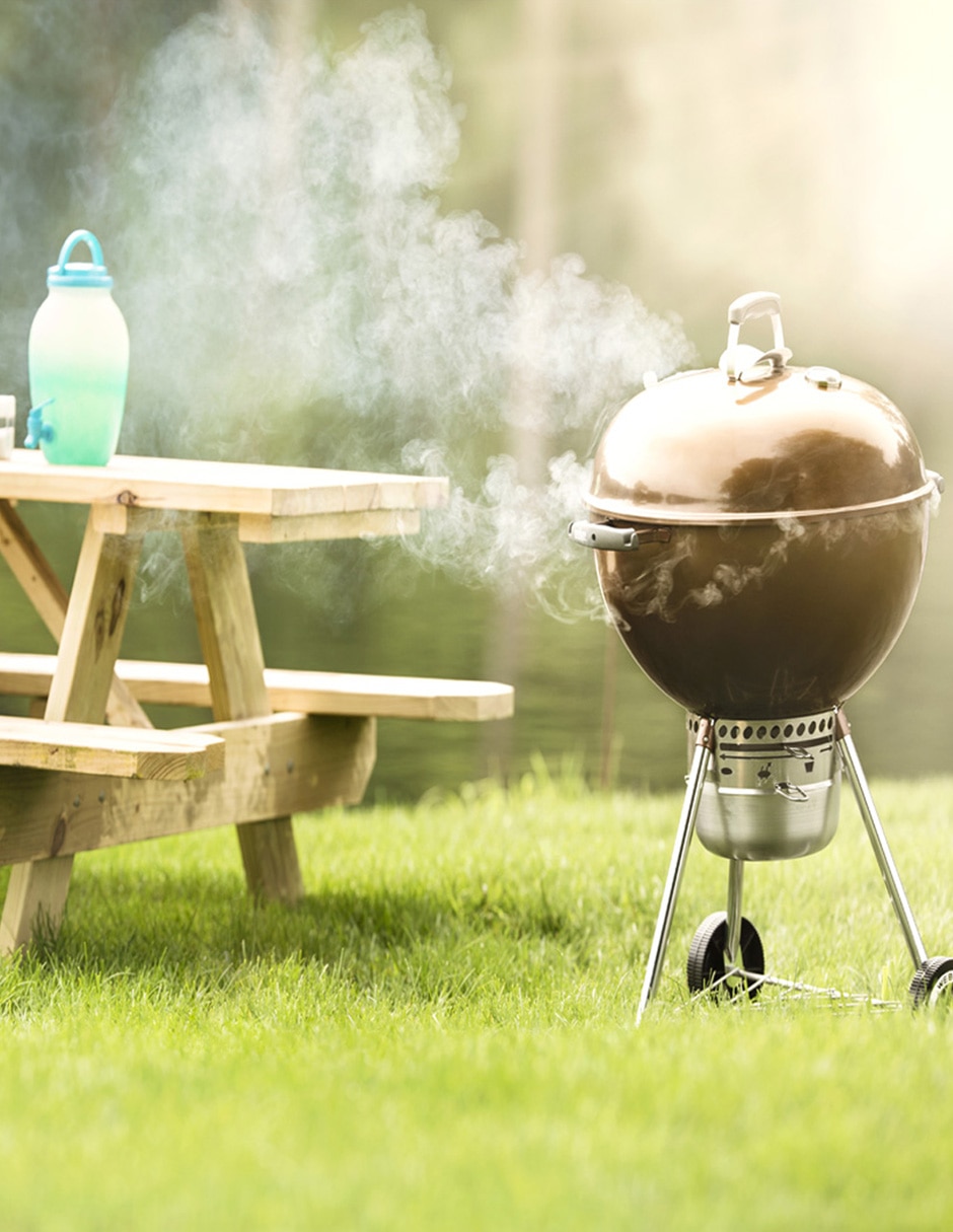 Asador de carbón 7