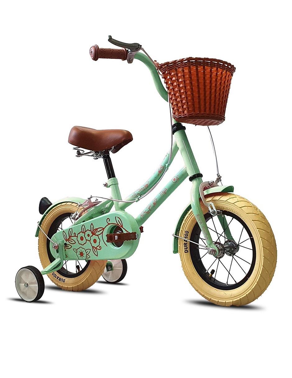 Bicicleta urbana rodada 12 2