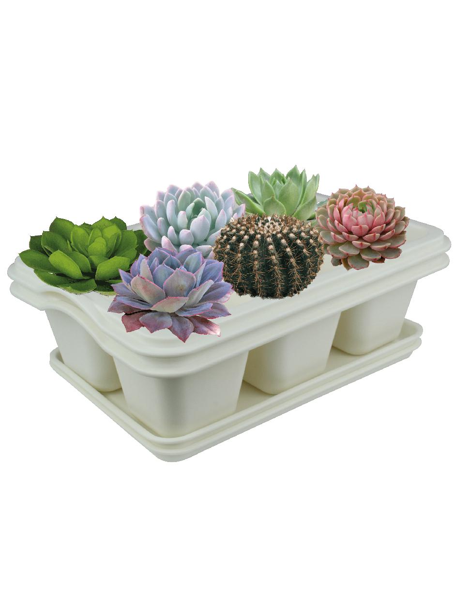 Maceta de plástico con sistema automático de riego