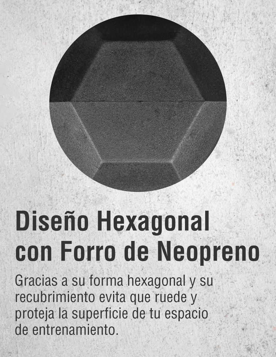 Mancuerna 4