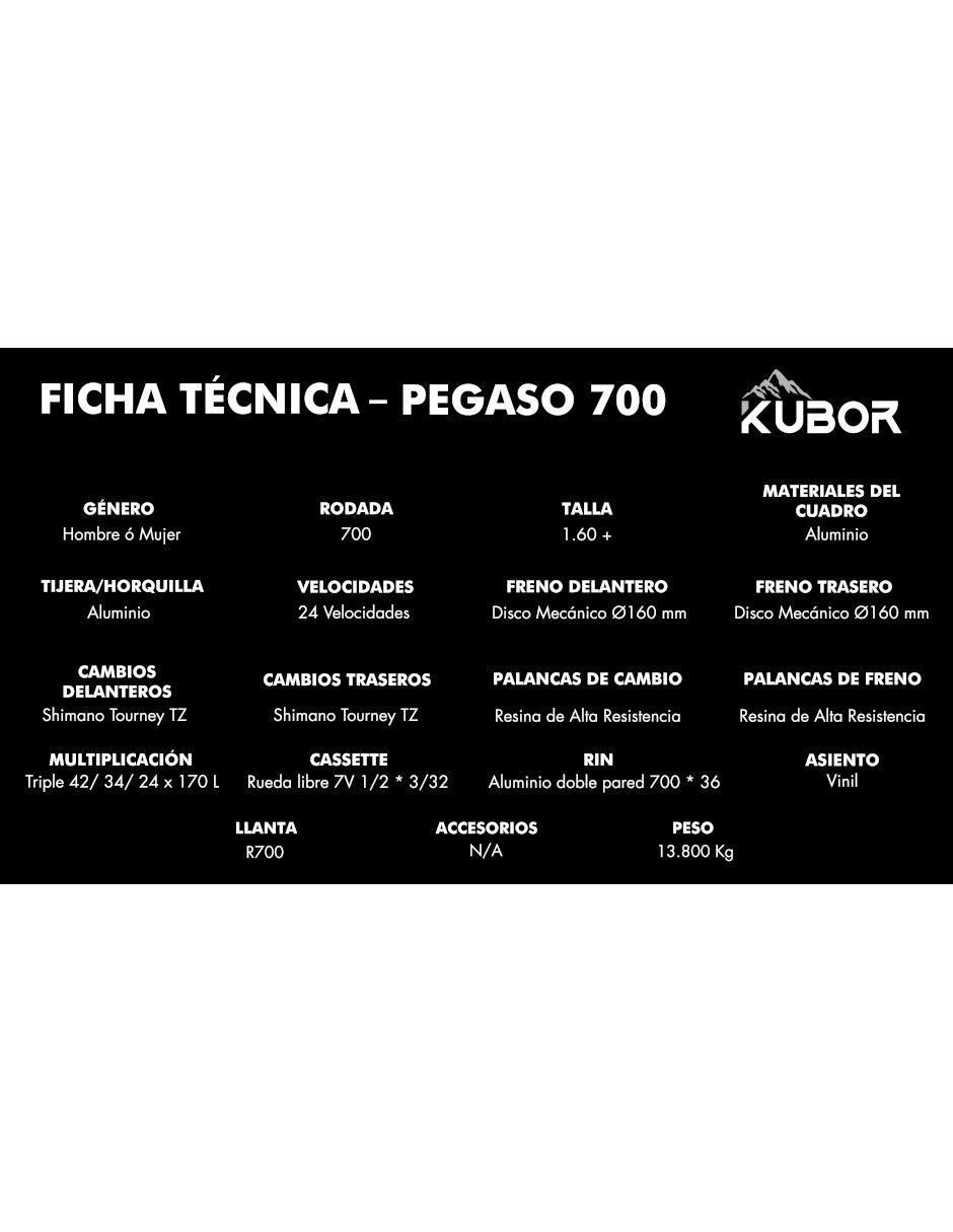 Bicicleta de ruta Kubor rodada 700 Pegaso unisex