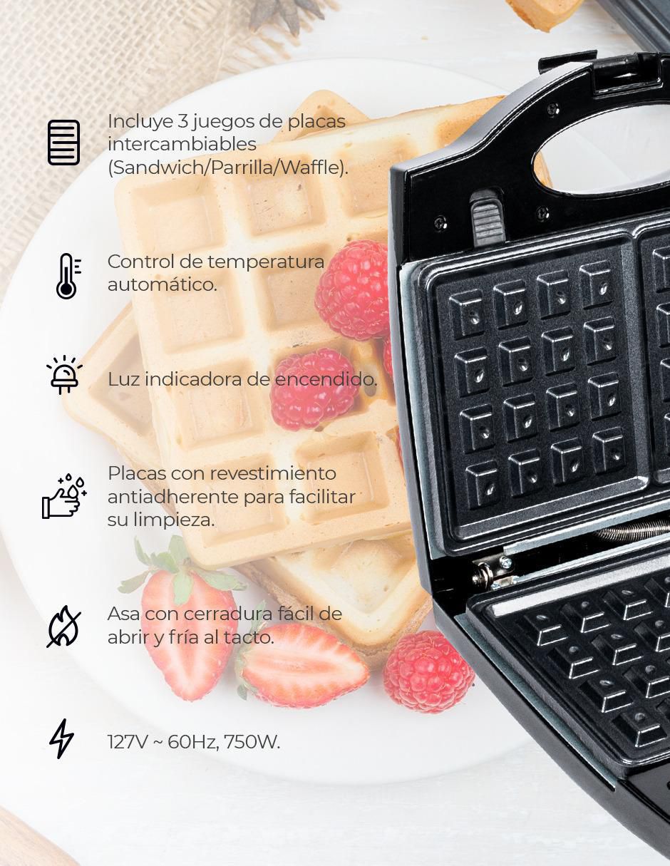 SANDWICHERA DSM-9780 , GRIS 6