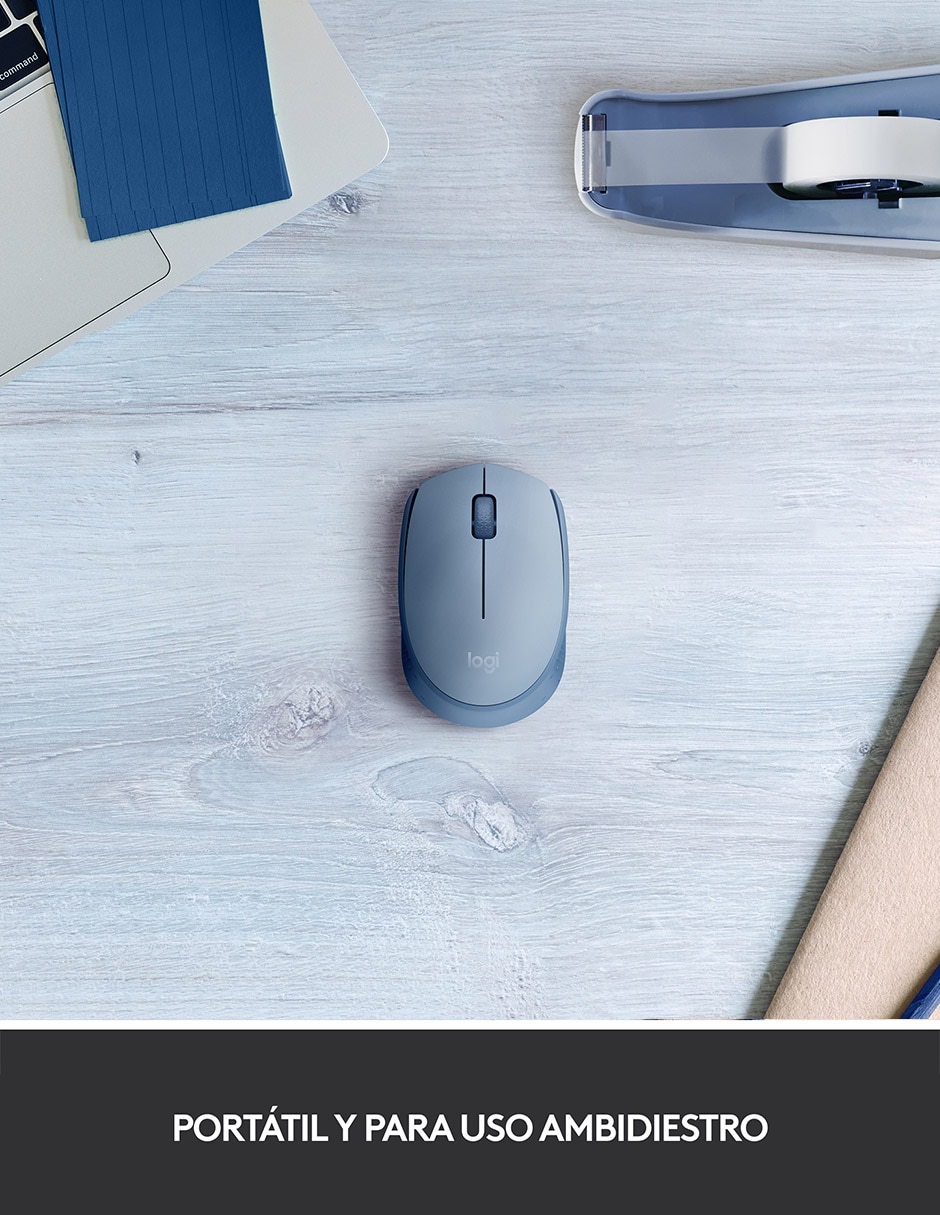 Mouse Inalámbrico m170 910-006863 3