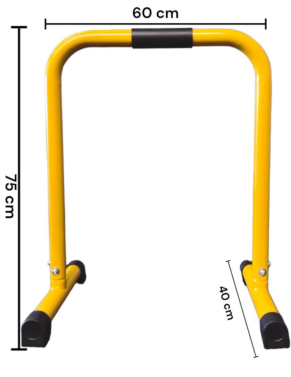 Barra 10 kg