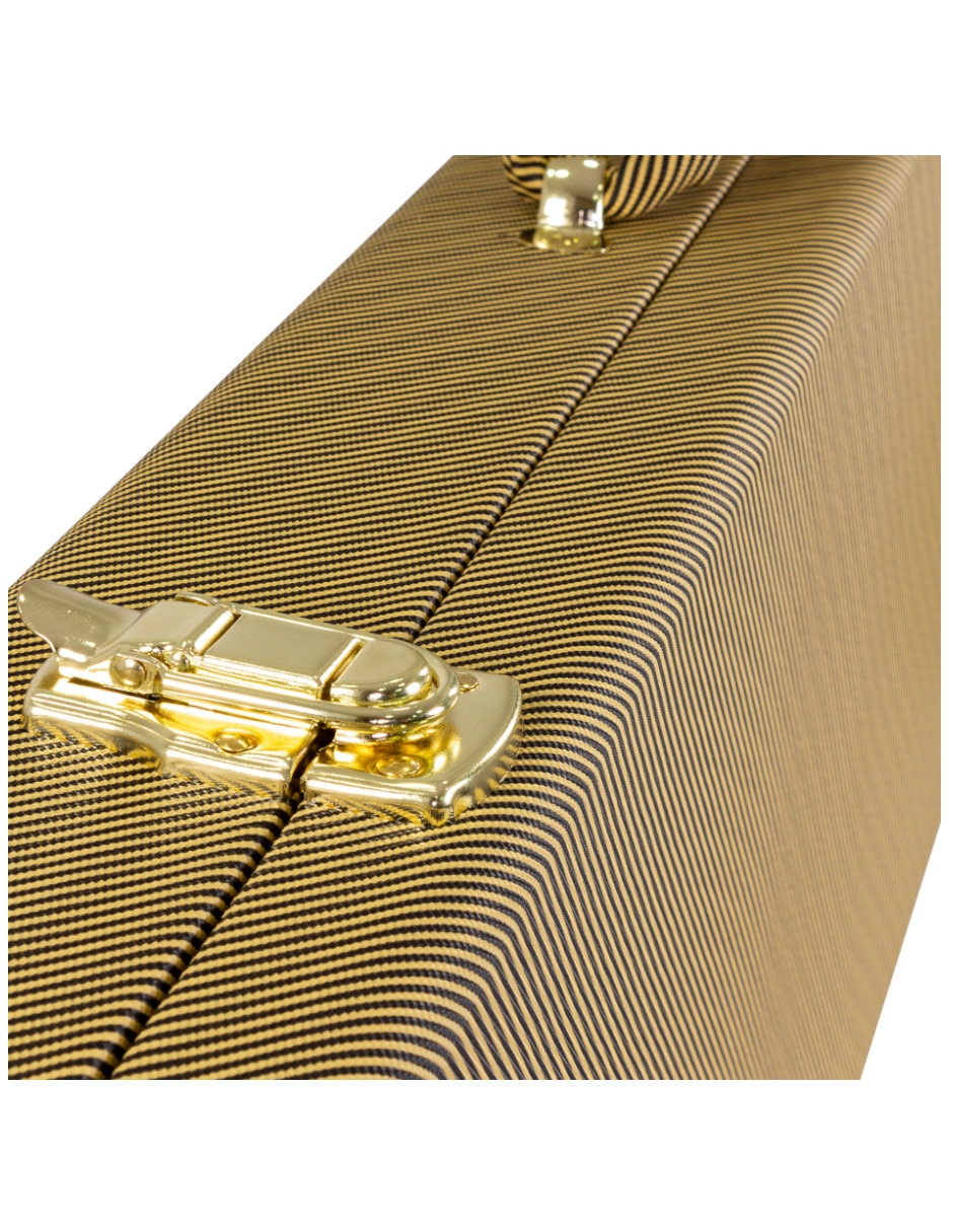 Guitarra eléctrica Am 10
