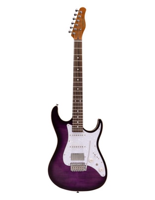 Guitarra eléctrica Pl Guitarra eléctrica Pl