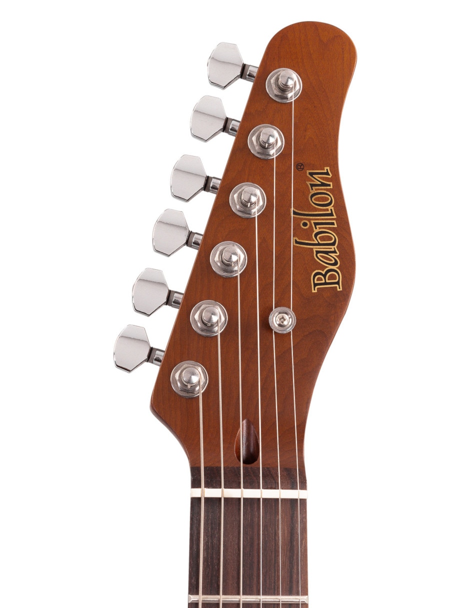 Guitarra eléctrica Pl 6