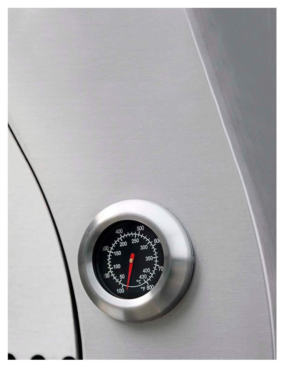 Horno para pizza para uso exterior 4