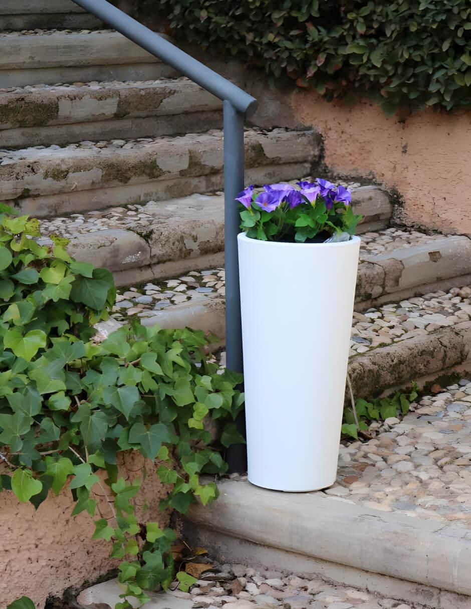 Maceta Ficus de plástico con sistema automático de riego