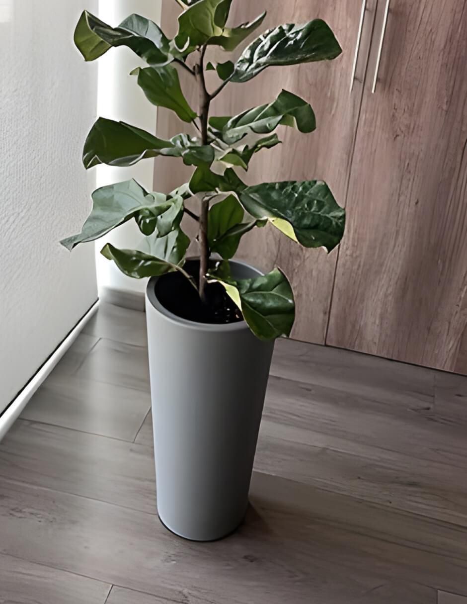 Maceta Ficus 60 de plástico con sistema automático de riego