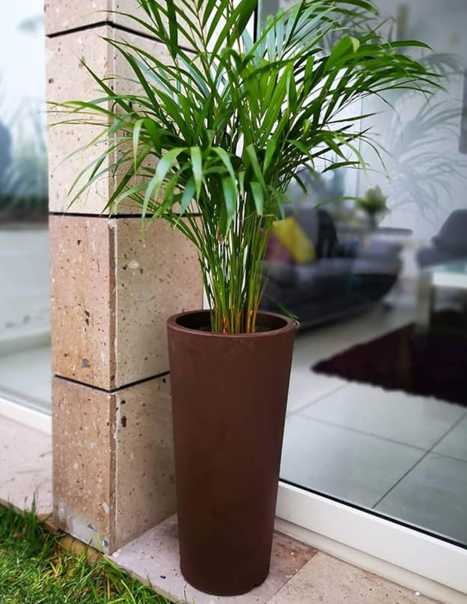 Maceta Ficus 60 de plástico con sistema automático de riego