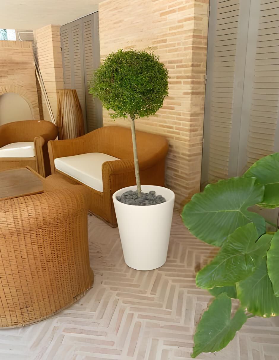 Maceta Gerbera 33 de plástico con sistema automático de riego
