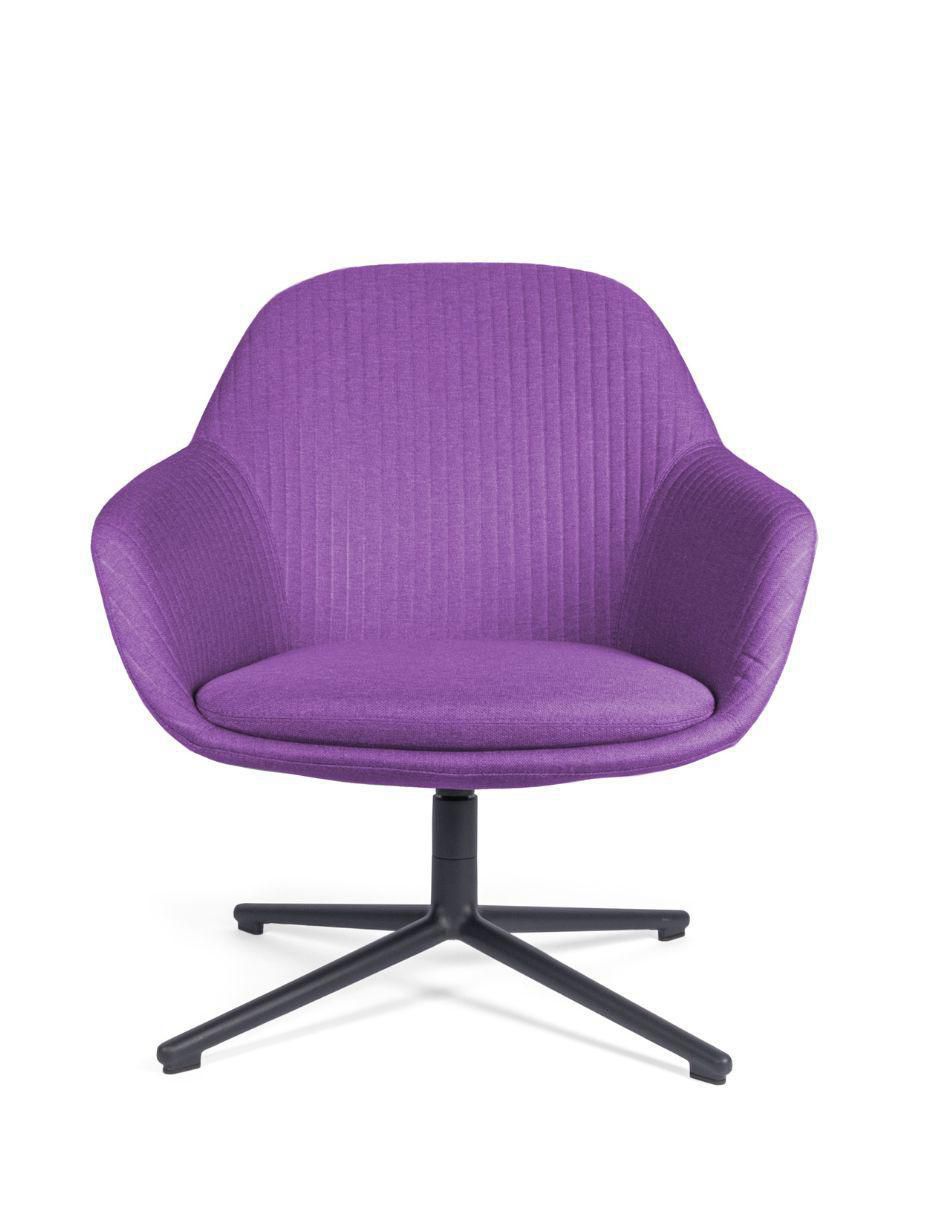 Morado 4
