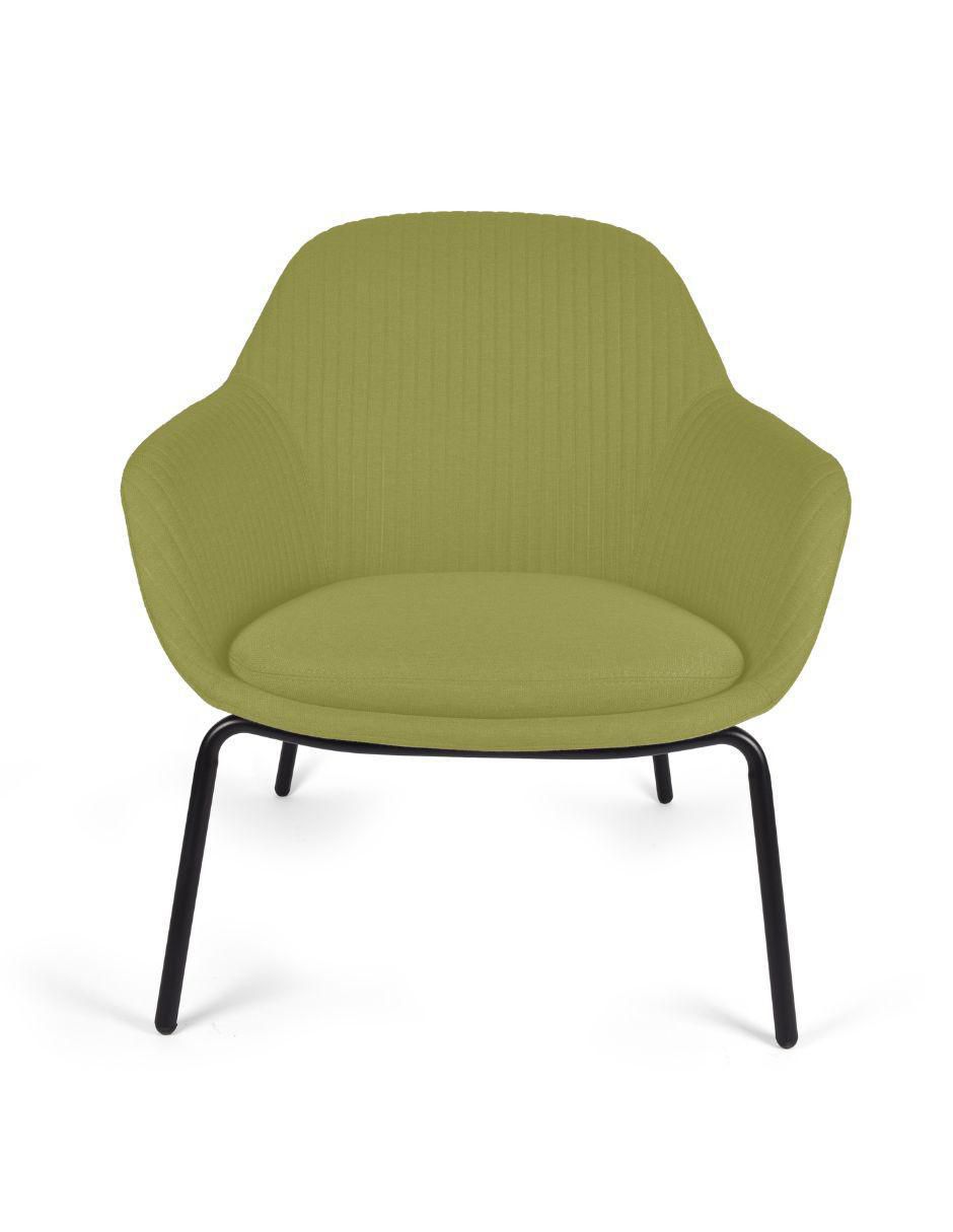 Verde 6