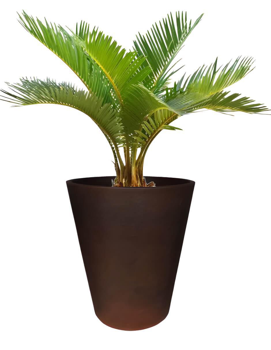 Maceta Gerbera 45 Cm de plástico con sistema automático de riego