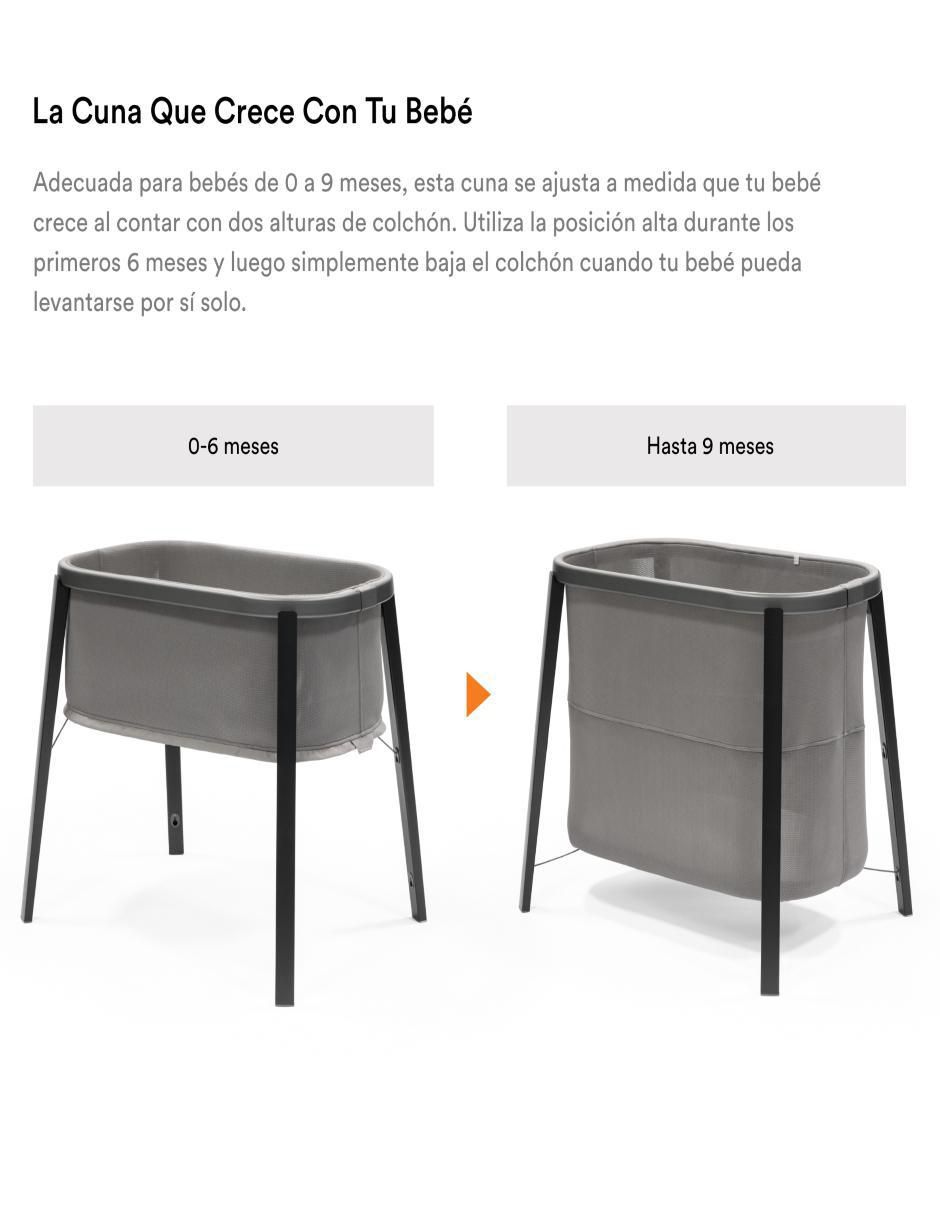 Gris