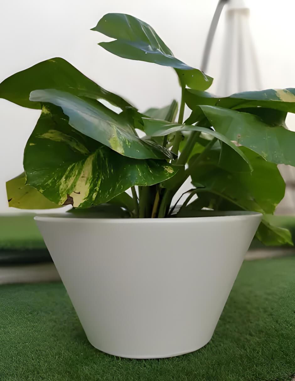 Maceta Lirio de plástico con sistema automático de riego