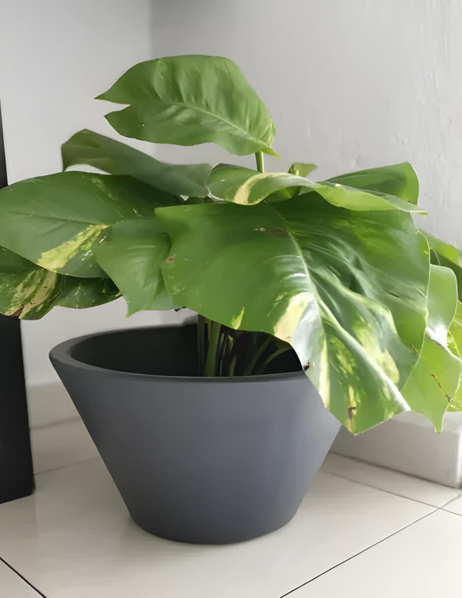 Maceta Lirio de plástico con sistema automático de riego