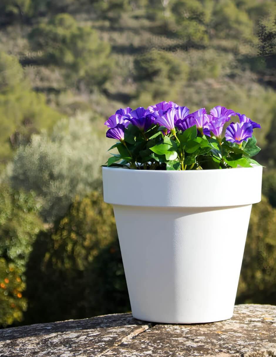 Maceta Magnolia de plástico con sistema automático de riego
