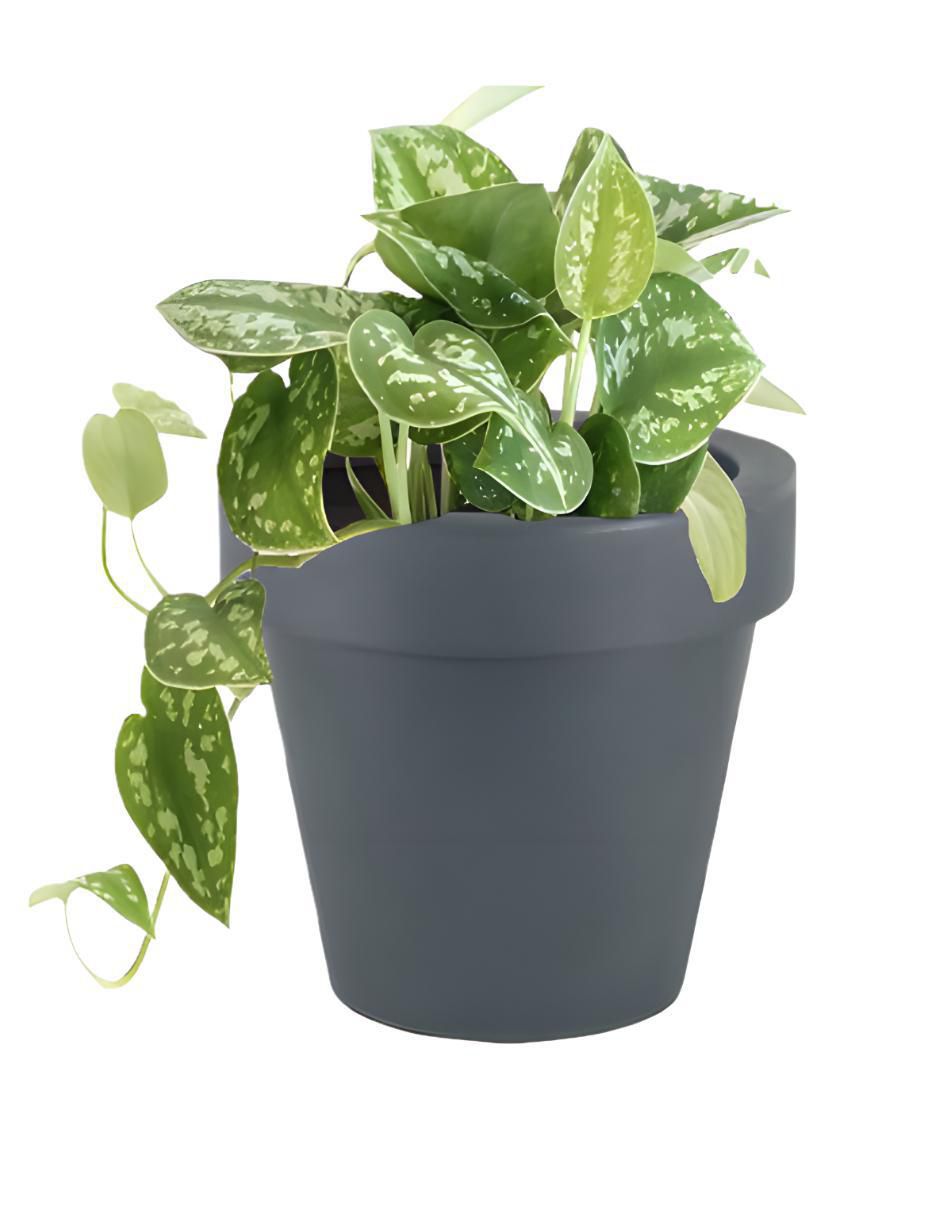 Maceta Magnolia de plástico con sistema automático de riego