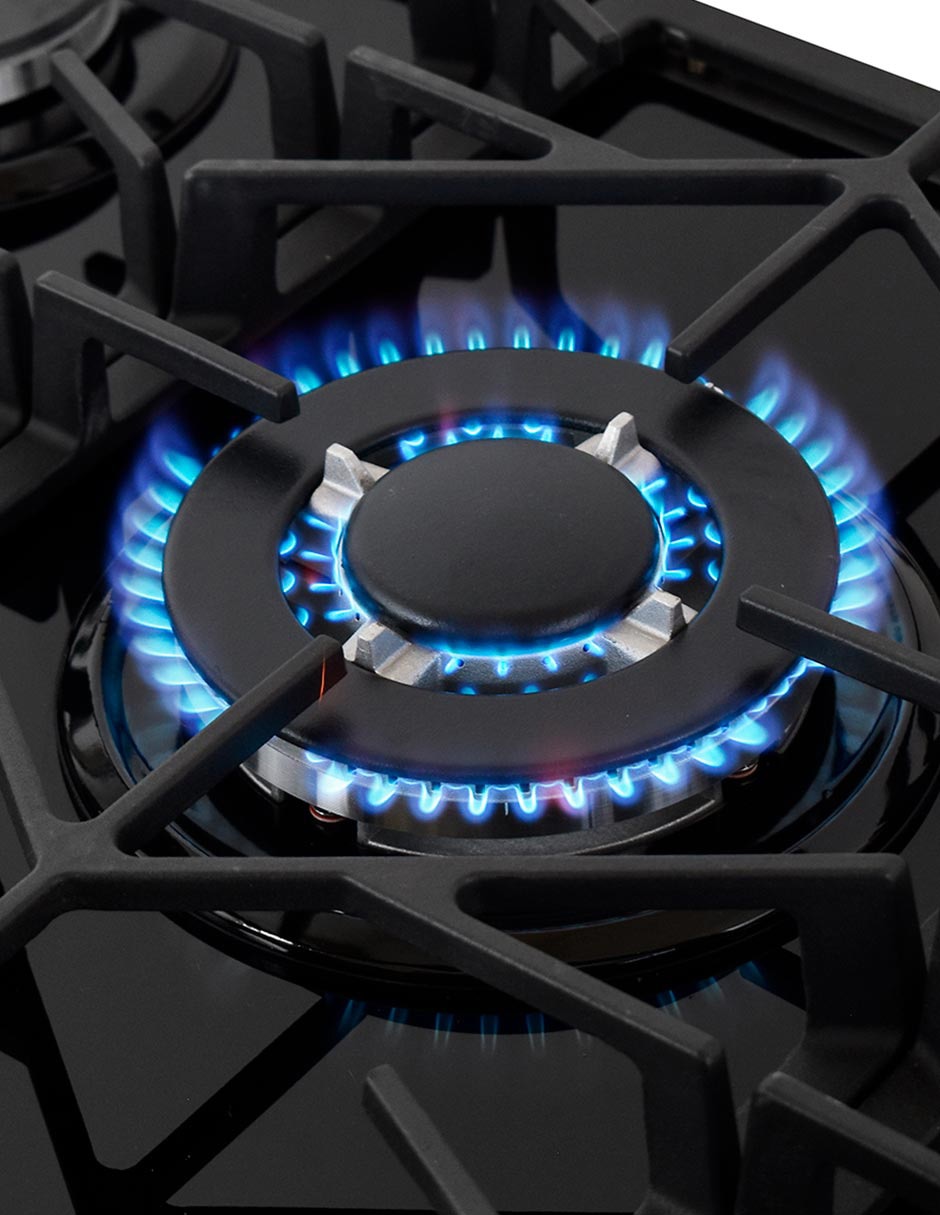 Parrilla a gas lp empotrable
