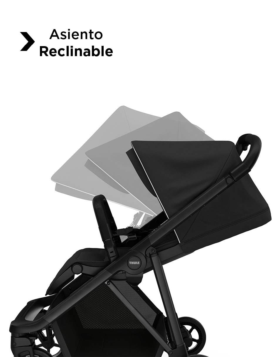 Carriola estándar Shine Thule de aluminio