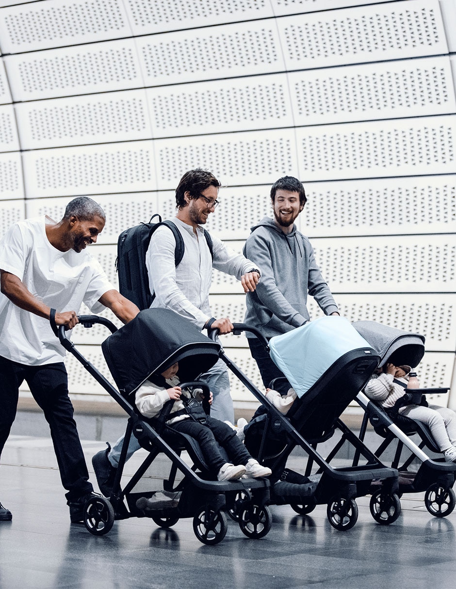 Carriola estándar Shine Thule de aluminio