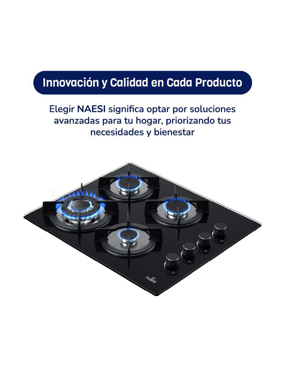 Parrilla a gas lp empotrable Naesi