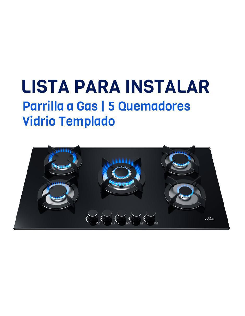Parrilla a gas lp empotrable Naesi