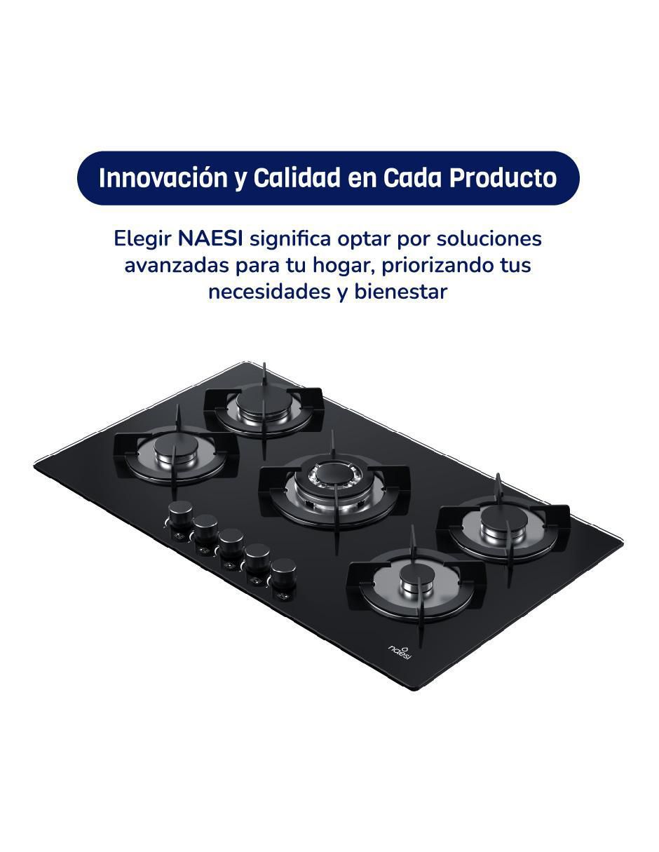 Parrilla a gas lp empotrable Naesi