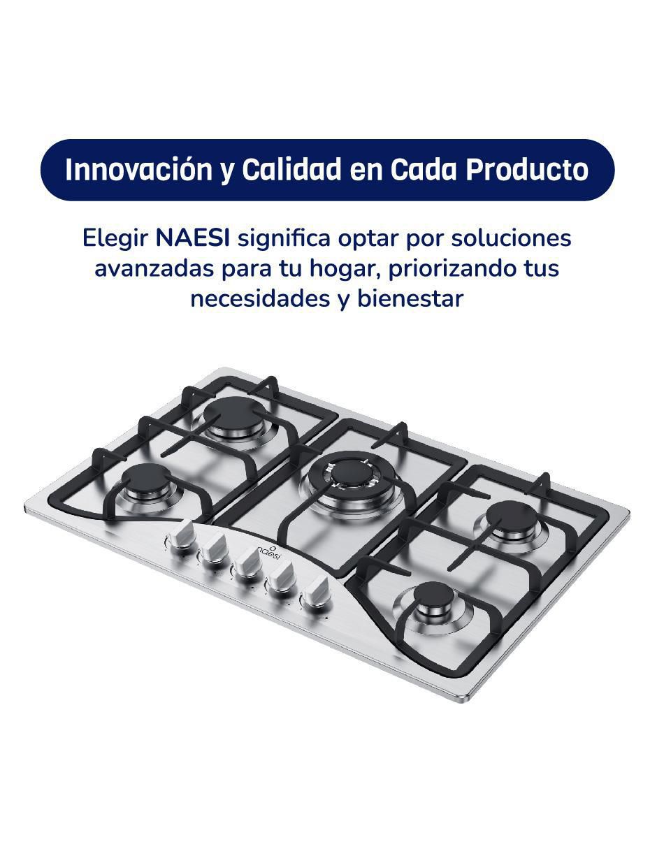 Parrilla a gas lp empotrable Naesi