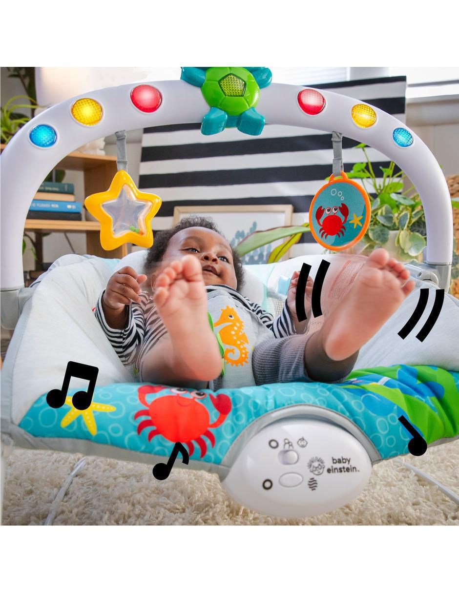 Bouncer  Ocean Explorers
