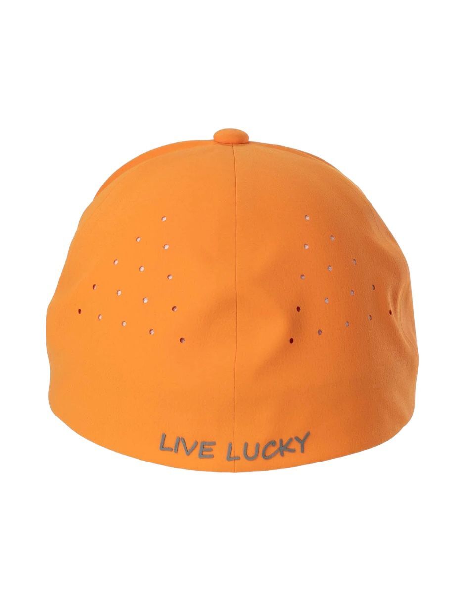 Gorra con visera semicurva cerrada para adulto