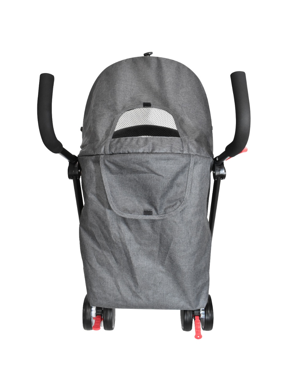 Carriola buggy 4