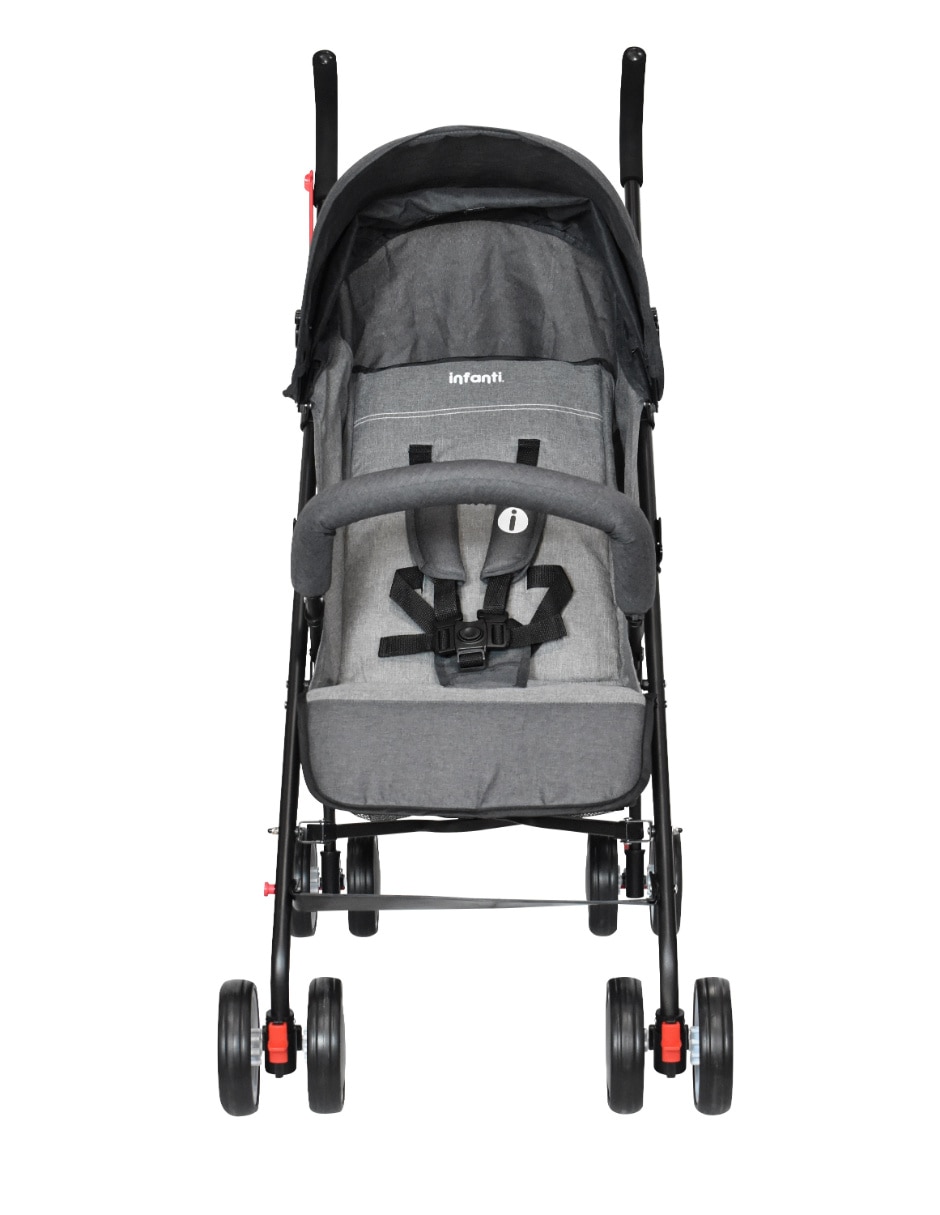 Carriola buggy 5