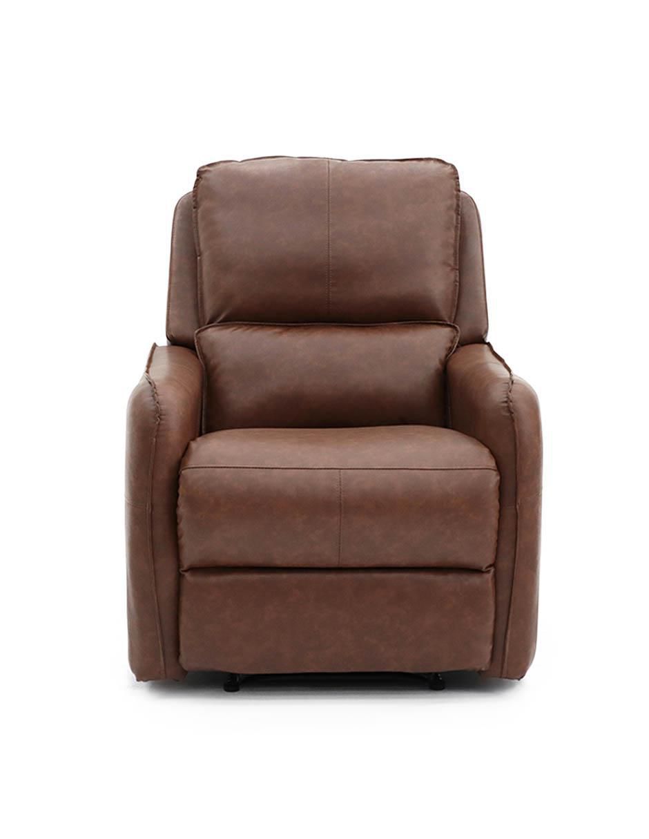 Reclinable Vanlig de vinipiel