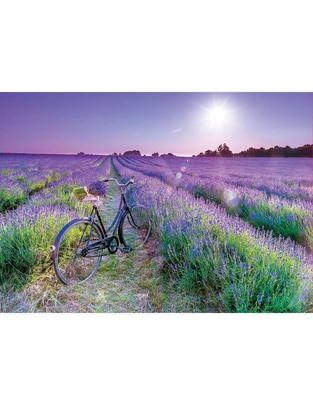 Rompecabezas campo de lavanda Educa Puzzle 500 piezas 1