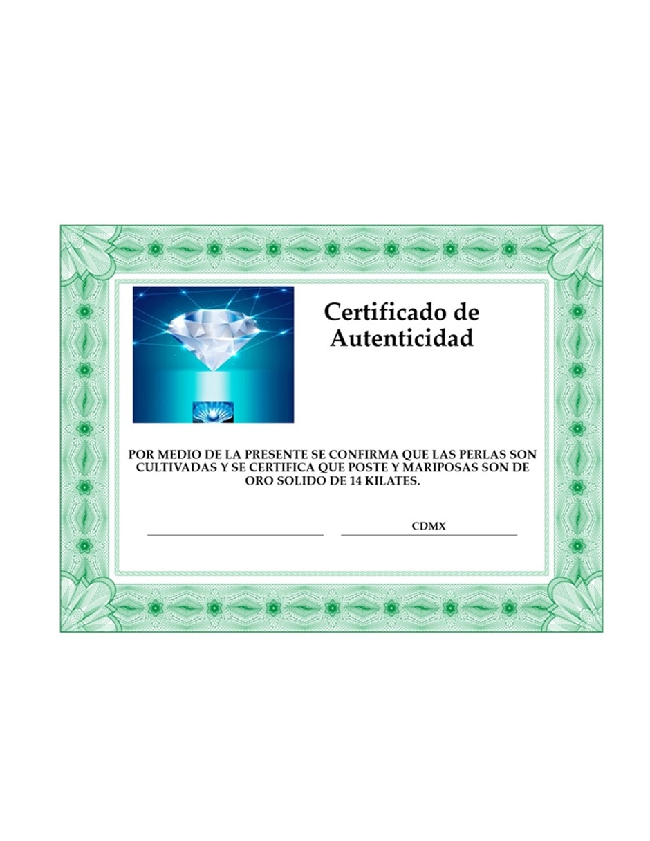 Broqueles de esfera de oro 14 k perla