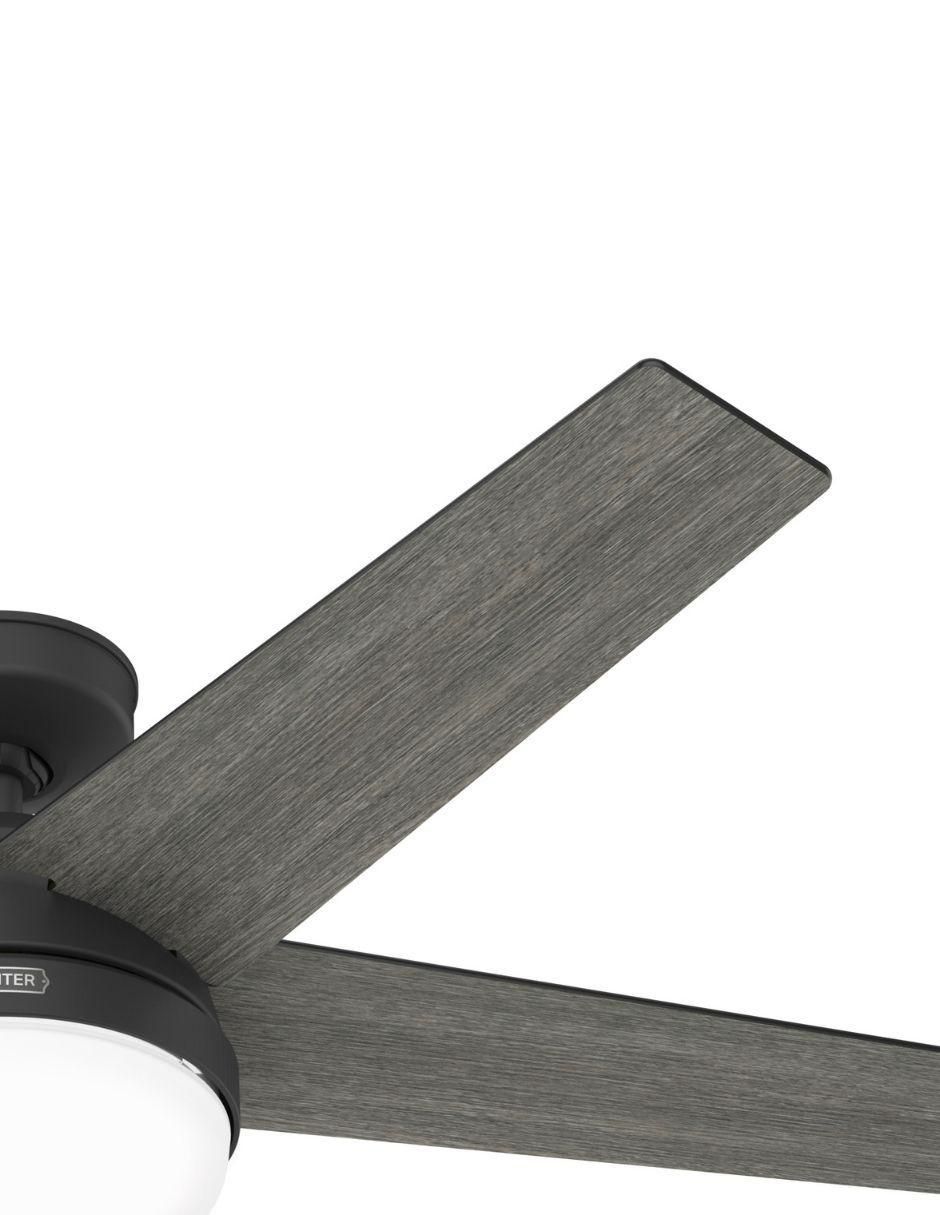 VENTILADOR DE TECHO RIVERSHORE , NEGRO 2