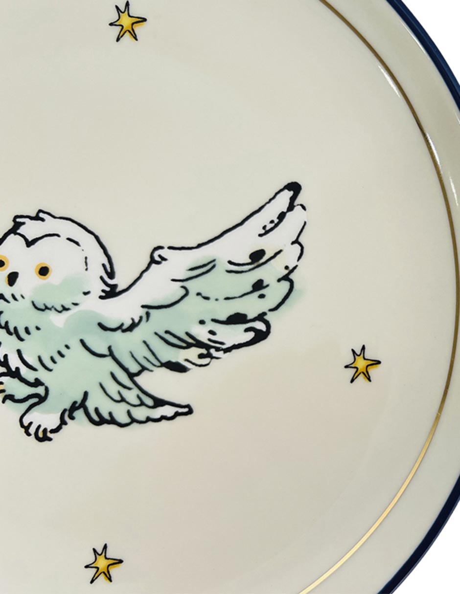 Plato ensalada Harry Potter de stoneware 4