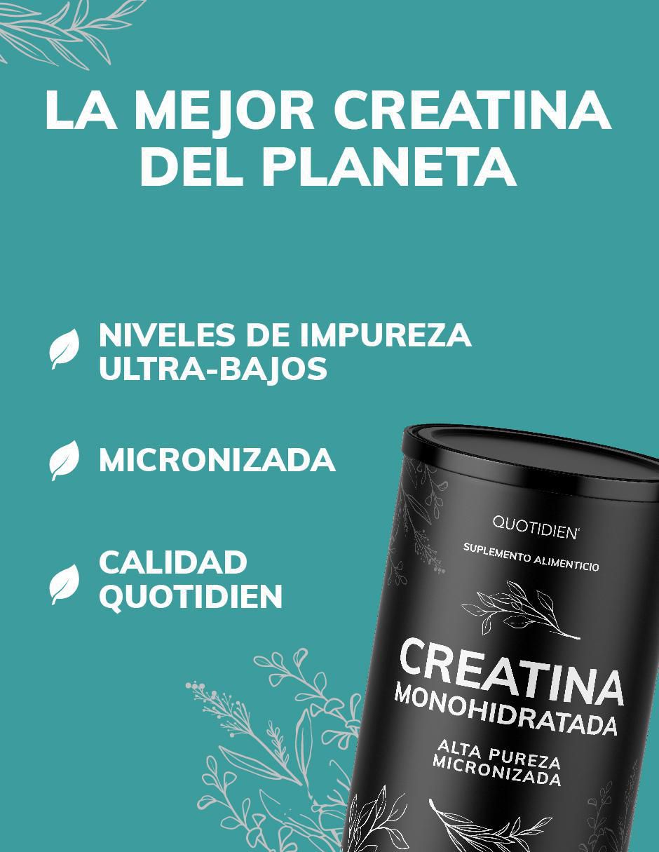 Creatina Monohidratada Micronizada Quotidien de 450 g