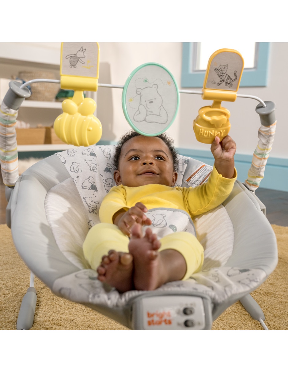 Bouncer Disney Baby Winnie the Pooh Classic Pals 4