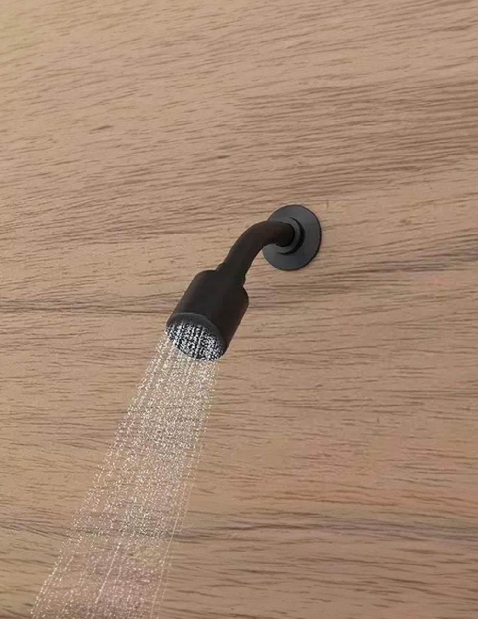Regadera para baño