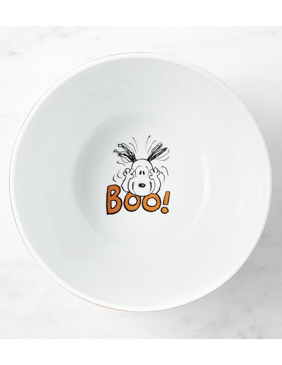 Bowl Peanuts The Great Pumpkin Snoopy de porcelana 2