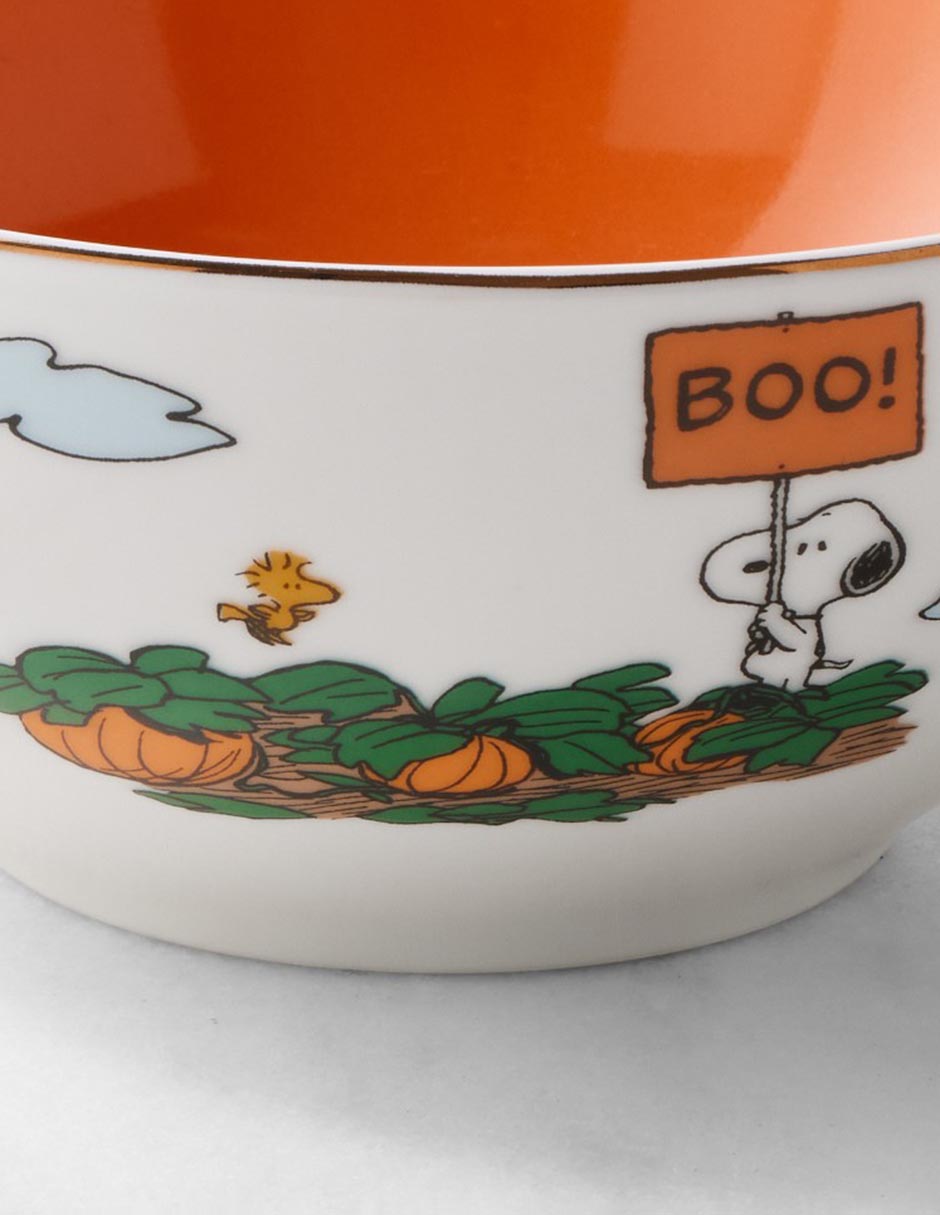 Set bowl Peanuts The Great Pumpkin 4 piezas de porcelana 3