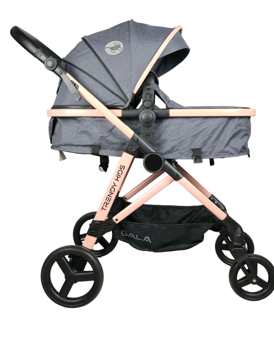 Carriola reversible de acero inoxidable 3