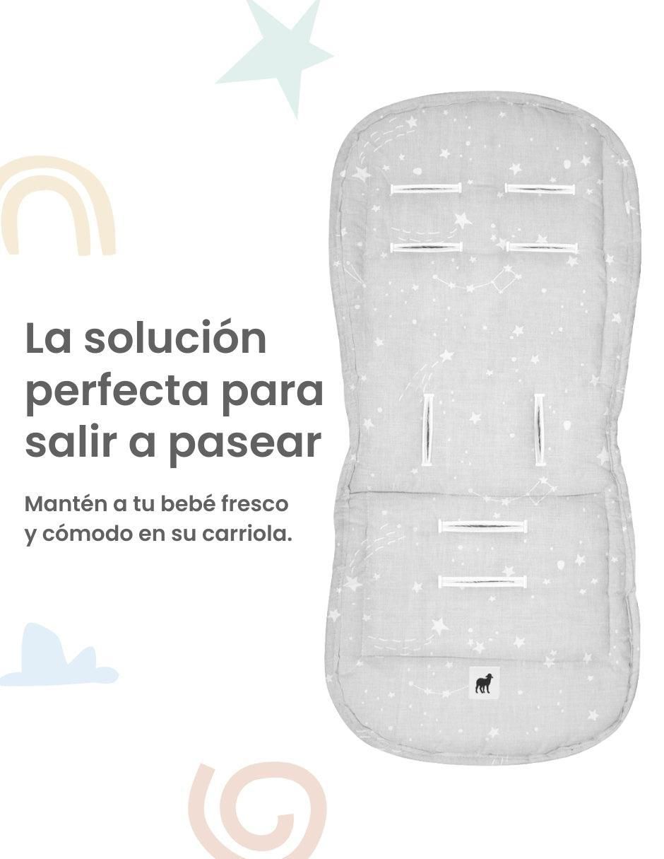 Protector constelaciones 4